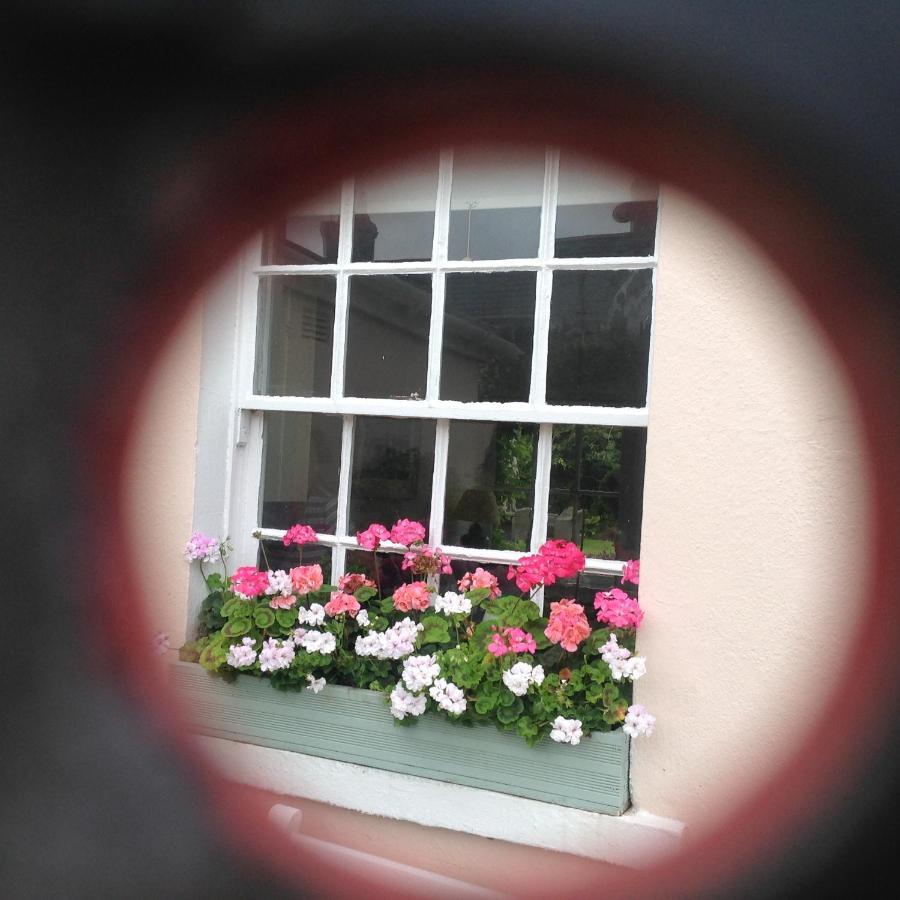 Newton Homestay Porthcawl